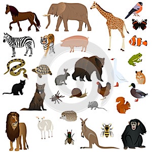 Animals 2