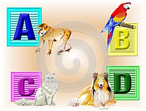 Animals ABCD