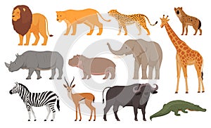 Animals from the African continent in cartoon style. Carnivores and herbivores from the hot area. Vector illustration