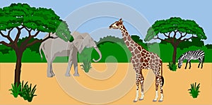 Animals in african scenery