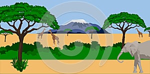 Animals in african scenery