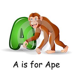 Animals alphabet: A is for Ape