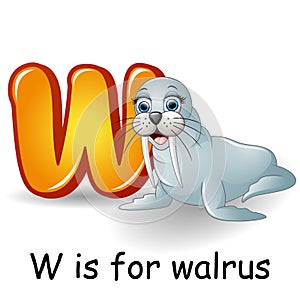 Animals alphabet: W is for Walrus