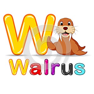 Animals alphabet: W is for Walrus