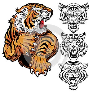 animals angry tiger drawing vector Head tiger illustration photo