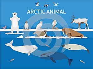 Animals of the Arctic. Flat style illustration