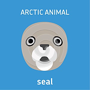 Animals of the Arctic. The head of the seal.