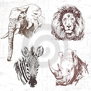 Animals around the World (Africa).