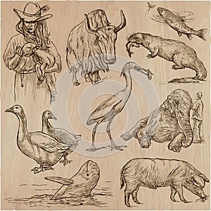 Animals around the World - An hand drawn vector pack. Line art.