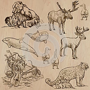 Animals around the World (part 5). Hand drawn vector pack.