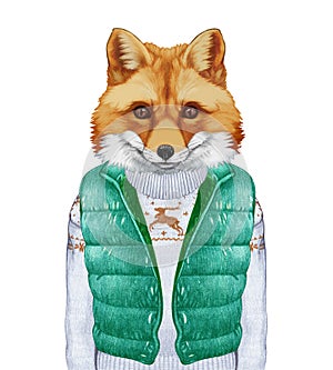 Animals as a human. Fox in down vest and sweater.