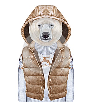 Animals as a human. Polar Bear in down vest and sweater.