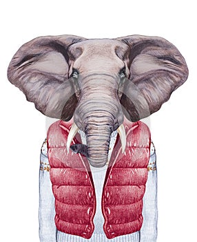Animals as a human. Portrait of Elephant in down vest and sweater.