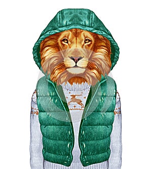 Animals as a human. Portrait of Lion in down vest and sweater.