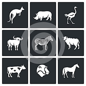 Animals of the Australian continent icons set. Vector Illustration.