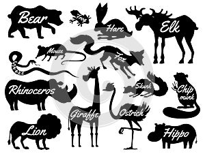 Animals for baby. Silhouettes isolated. Wild giraffe moose camel and deer, rhinoceros. hare, wolf and bear with lion and