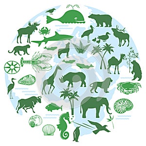 Animals and biodiversity