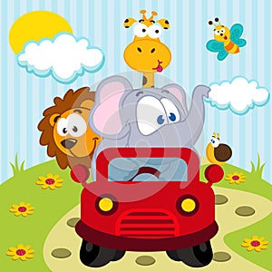 Animals by car