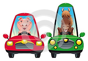 Animals in the car: Pig and Horse. photo