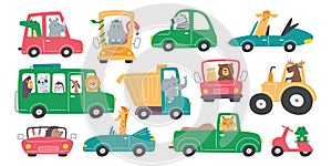 Animals in cars flat illustrations set. Funny frog, lion, dog, elephant and zebra characters riding on scooter