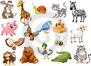 Animals cartoon collection one for kids photo