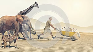 Animals chase a man with water in a wheelbarrow photo