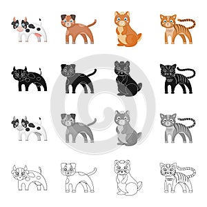 Animals, cow, milk, and other web icon in cartoon style.Nature, forest, zoo icons in set collection.