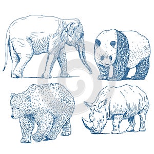 Animals drawings set