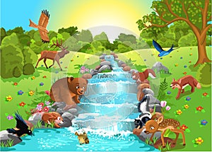Los animales bebiendo Agua 