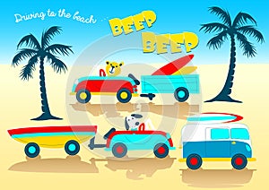 Animals driving to the beach beep beep