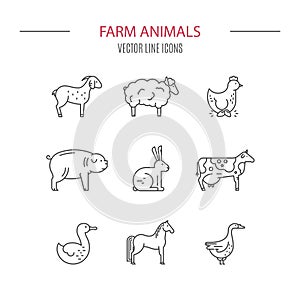 Animals on Farm