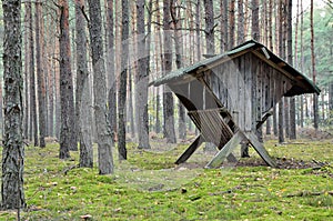 Animals feeder