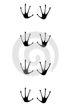 Animals feet track. Frog black paw, walking feet silhouette or footprints. Trace step imprints isolated on white