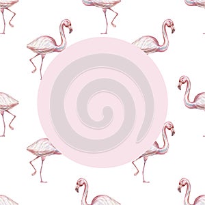 Animals  flamingo birds cartoon cute muzzles scandinavian style. Hand-drawn illustration of children