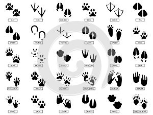 Animals footprints. Animal feet silhouette, frog footprint and pets foots silhouettes prints vector illustration set