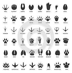 Animals footprints. Animal paws prints. Elephant and gorilla, bison and wolf. Cat, dog and deer, bear black foot tracks photo