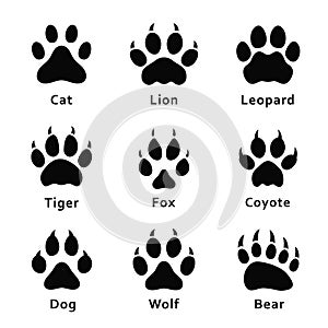 Animals footprints, paw prints. Set of different animals and predators footprints and traces