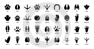 Animals footprints. Prints animal bird paw, wildlife foot icon, domestic pets footstep silhouette, print hoofed feet