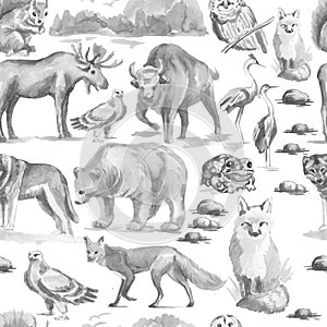 Animals forest bear wolf fox owl birds elk bison watercolor illustration hand drawn set big on white