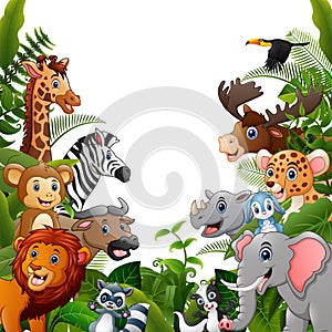 Animals forest cartoons meet together