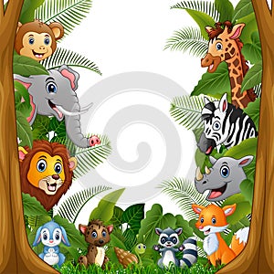 Animals forest meet together in frame