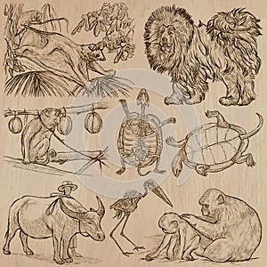 Animals - hand drawn vector pack