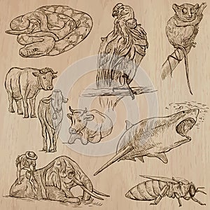 Animals - hand drawn vector pack