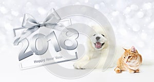 Animals happy new year concept, cat and dog with gift box frame