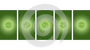 Animals highlights vector