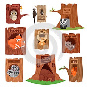 Animals in hollow vector animalistic character in tree hollowed hole illustration set of birds owl or bird on treetops