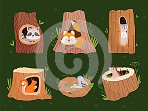 Animals hollow. Wood forest trees with holes for wild animals houses vector cartoon collection