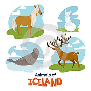 Animals of Iceland in flat modern style design