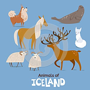 Animals of Iceland in flat modern style design.
