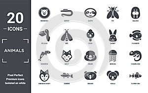 animals icon set. include creative elements as hedgehog, walrus, rabbit, snigir, zander, grampus filled icons can be used for web